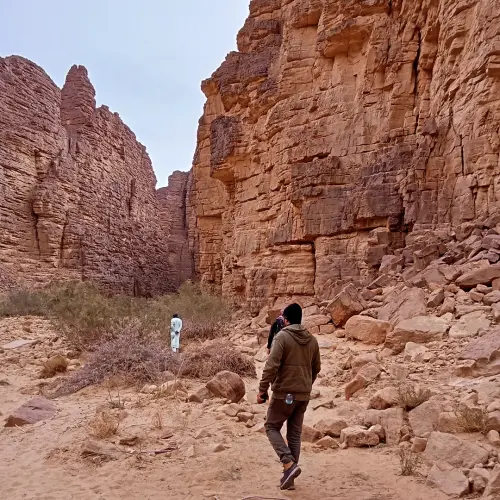 IMG_20240120_102037_392